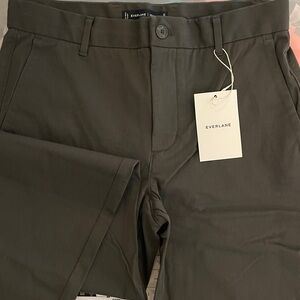 Everlane Brown Chinos Classic Style